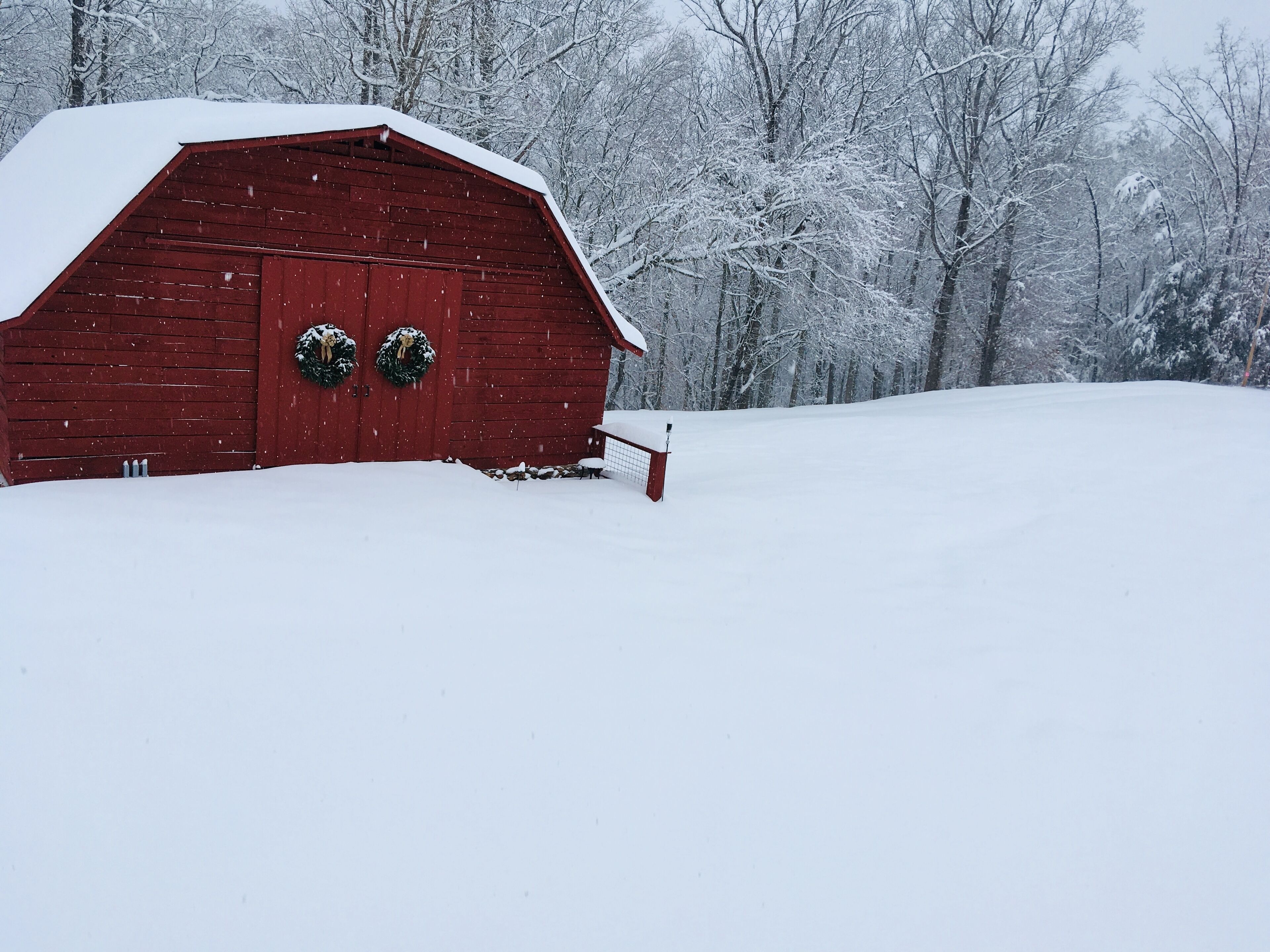 A red barn with two wreaths on the doors, surrounded by a snowy landscape and trees.