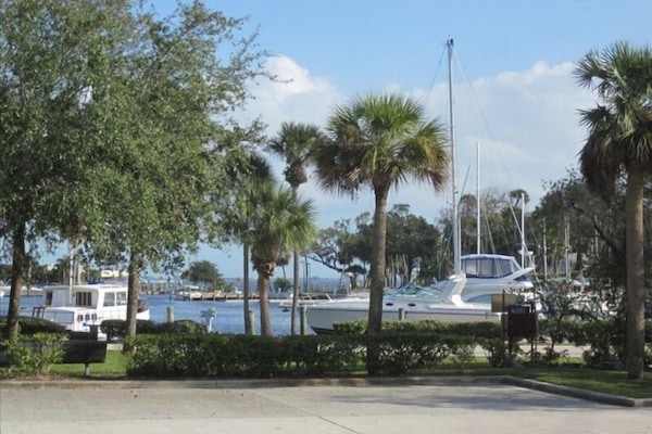 Actual View from Living Room