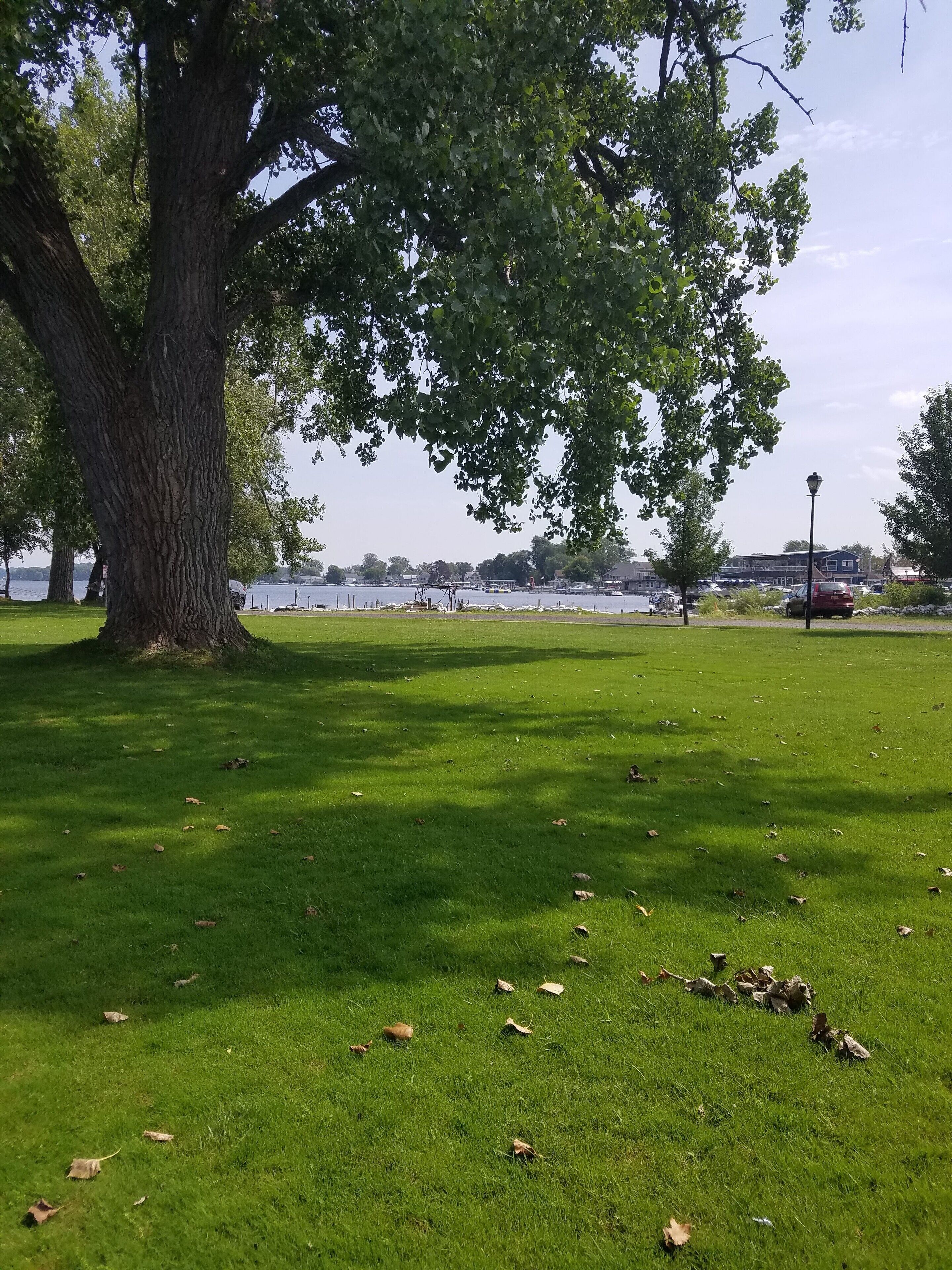 Sodus Point Bayview Cottage  
