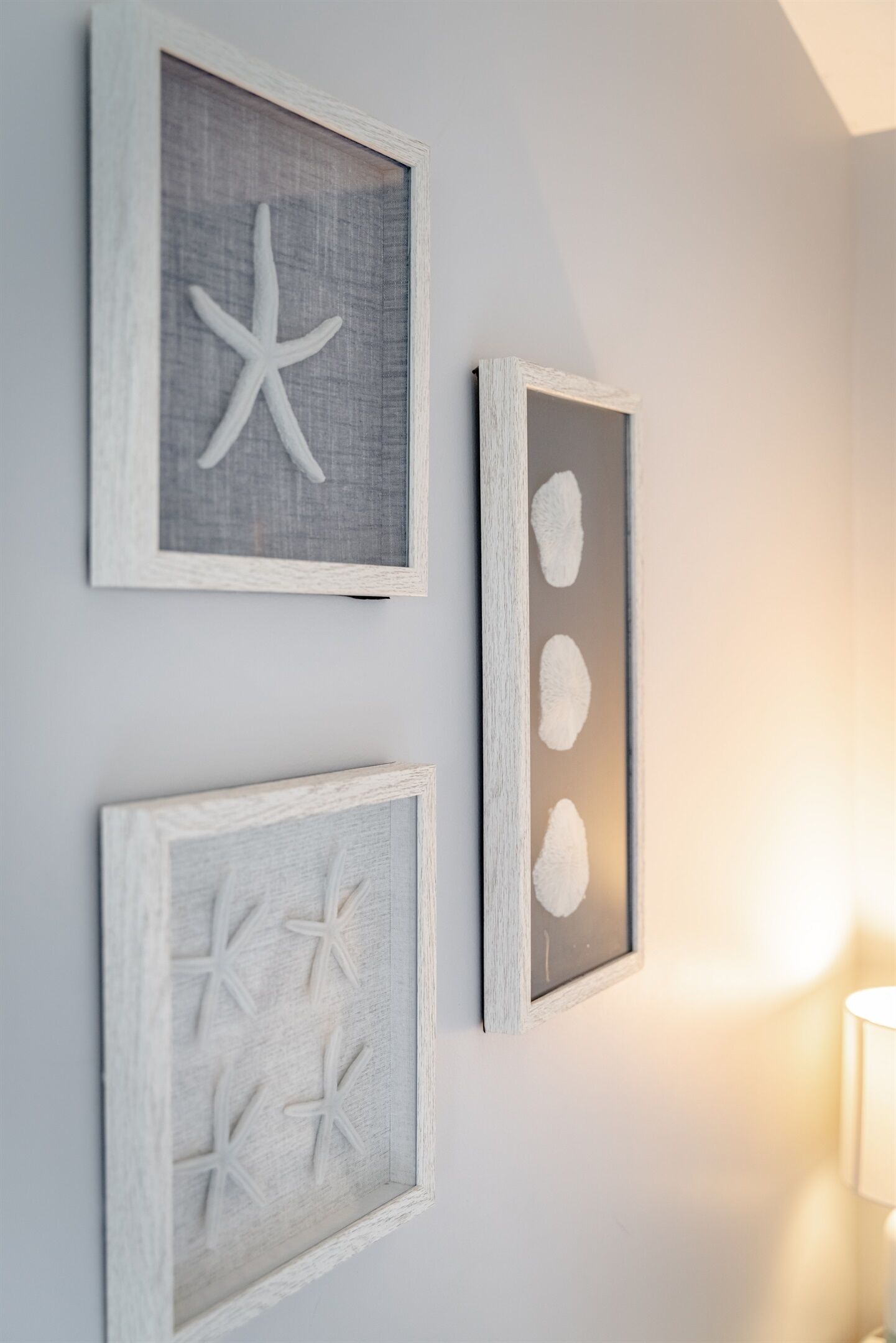 Three framed artworks on a wall, each depicting sea stars.