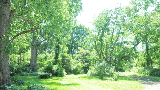 A natural landscape with a dirt path, trees, and greenery. - A cozy country "Doll House," with everything to meet your needs. (Hector)