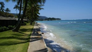 A beachfront with a concrete walkway lined with palm trees, leading to the ocean.