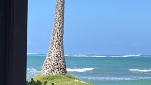 A coastal view with a tall, textured rock formation, a grassy area, and the ocean.