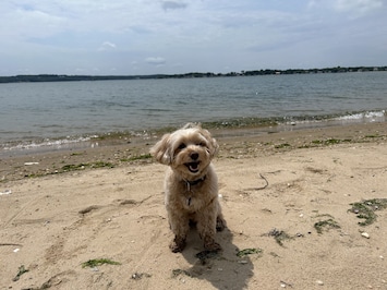 Charlie