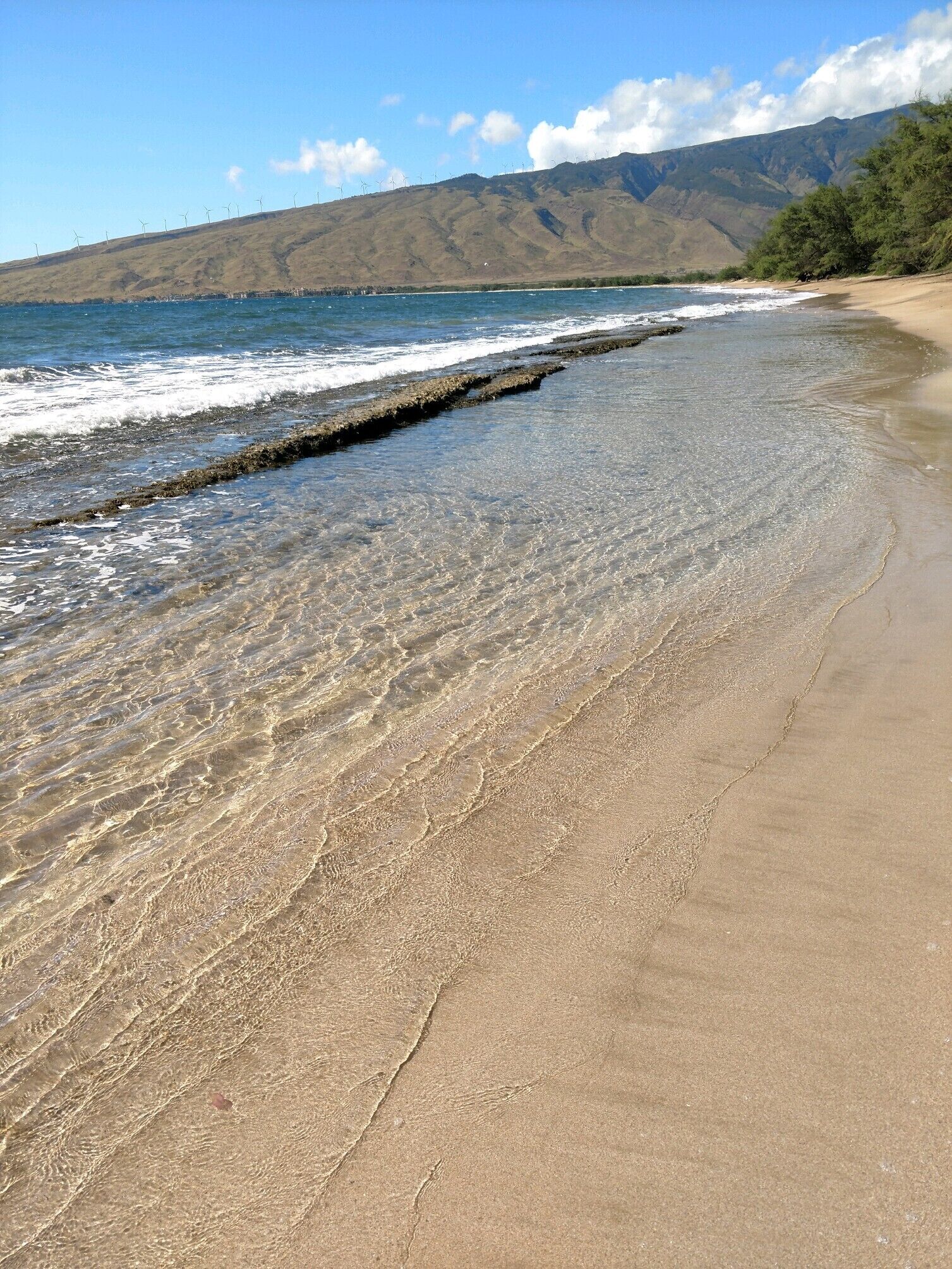 在海滩、沙滩椅、沙滩毛巾