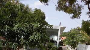 A paved walkway with potted plants and trees, leading to a building with a red roof. - Wasu Villa Hotel Dambulla (Dambulla)
