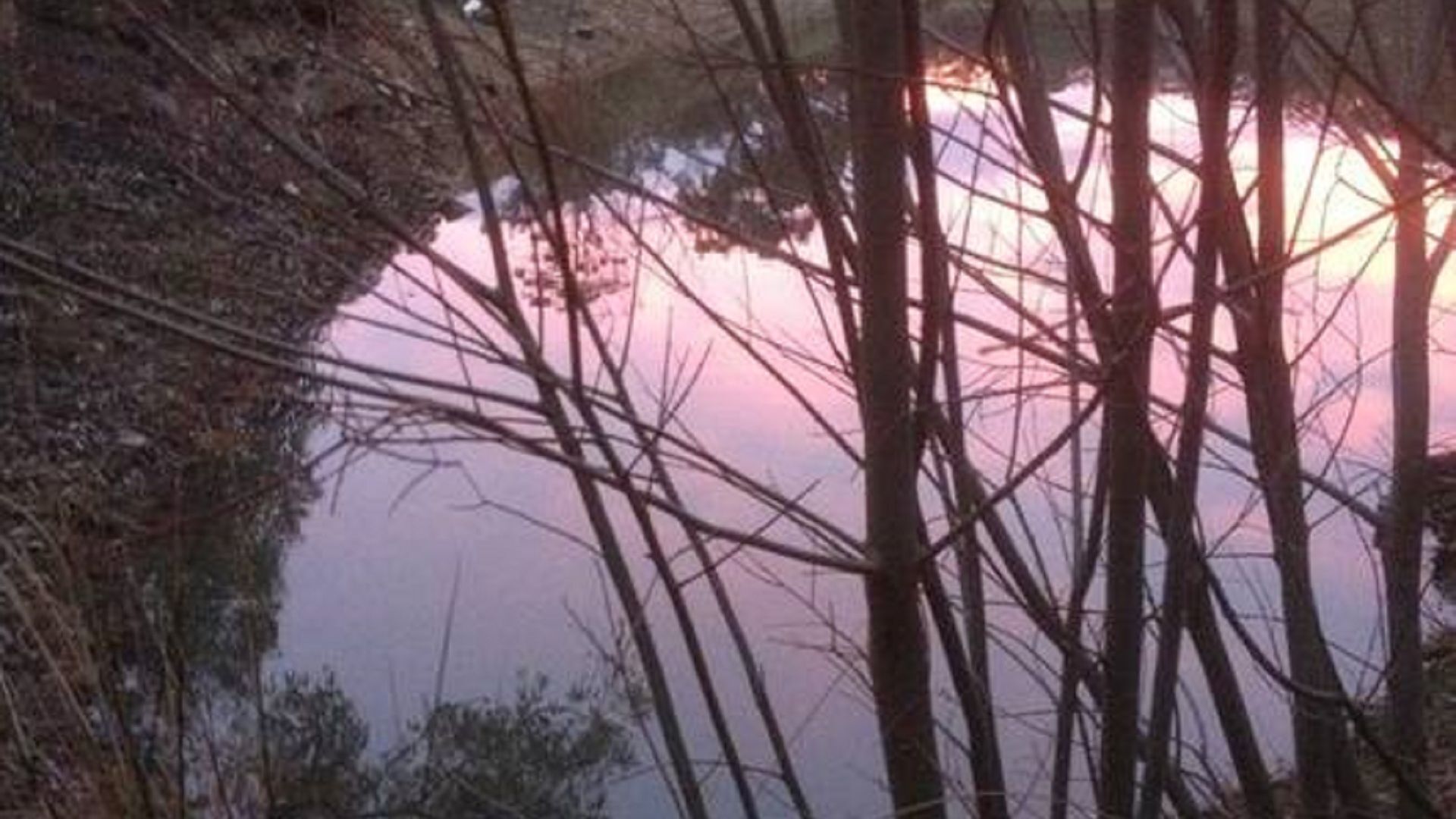 CloudsNest - secluded hills property — image 15