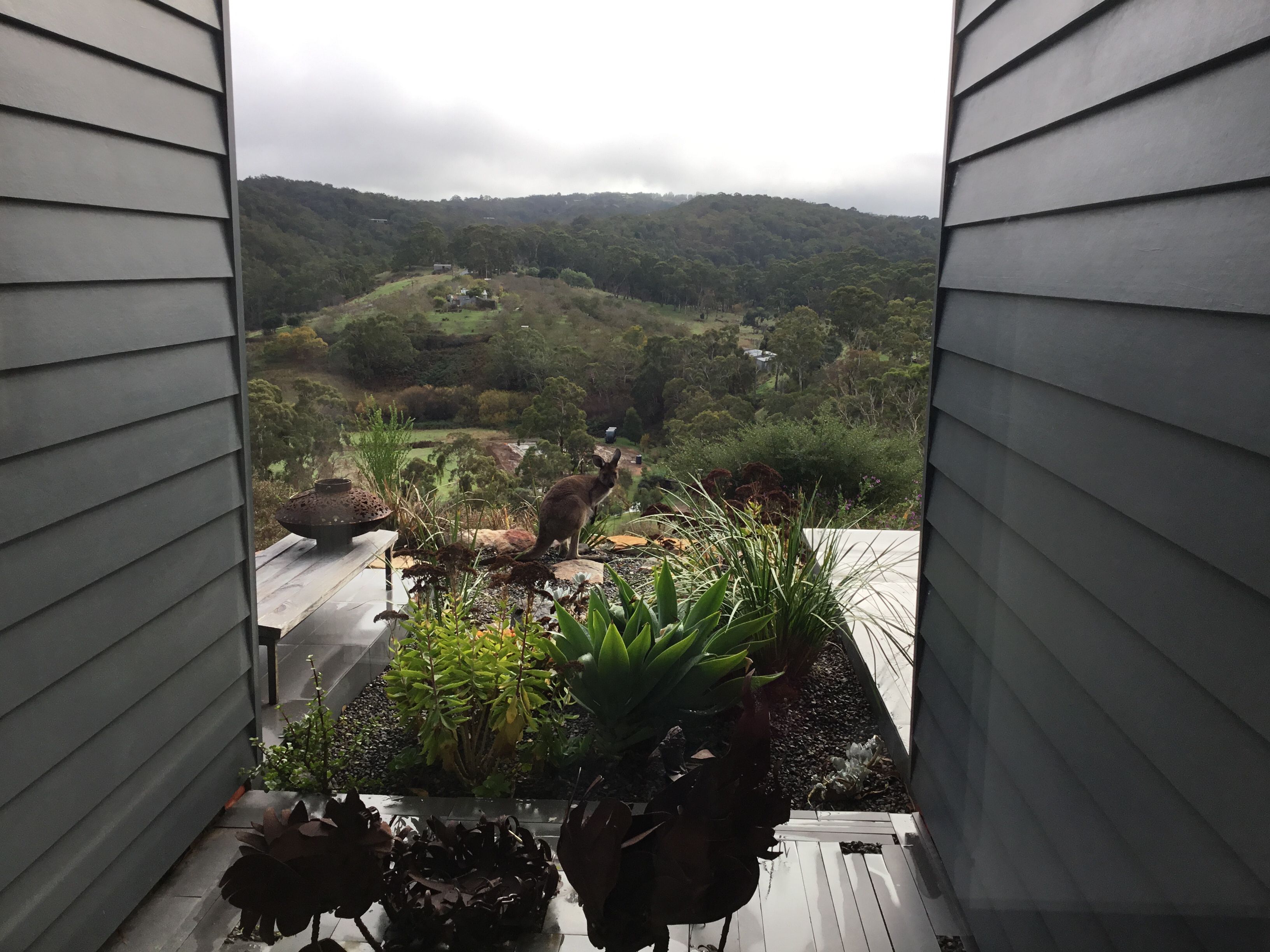 CloudsNest - secluded hills property — image 12