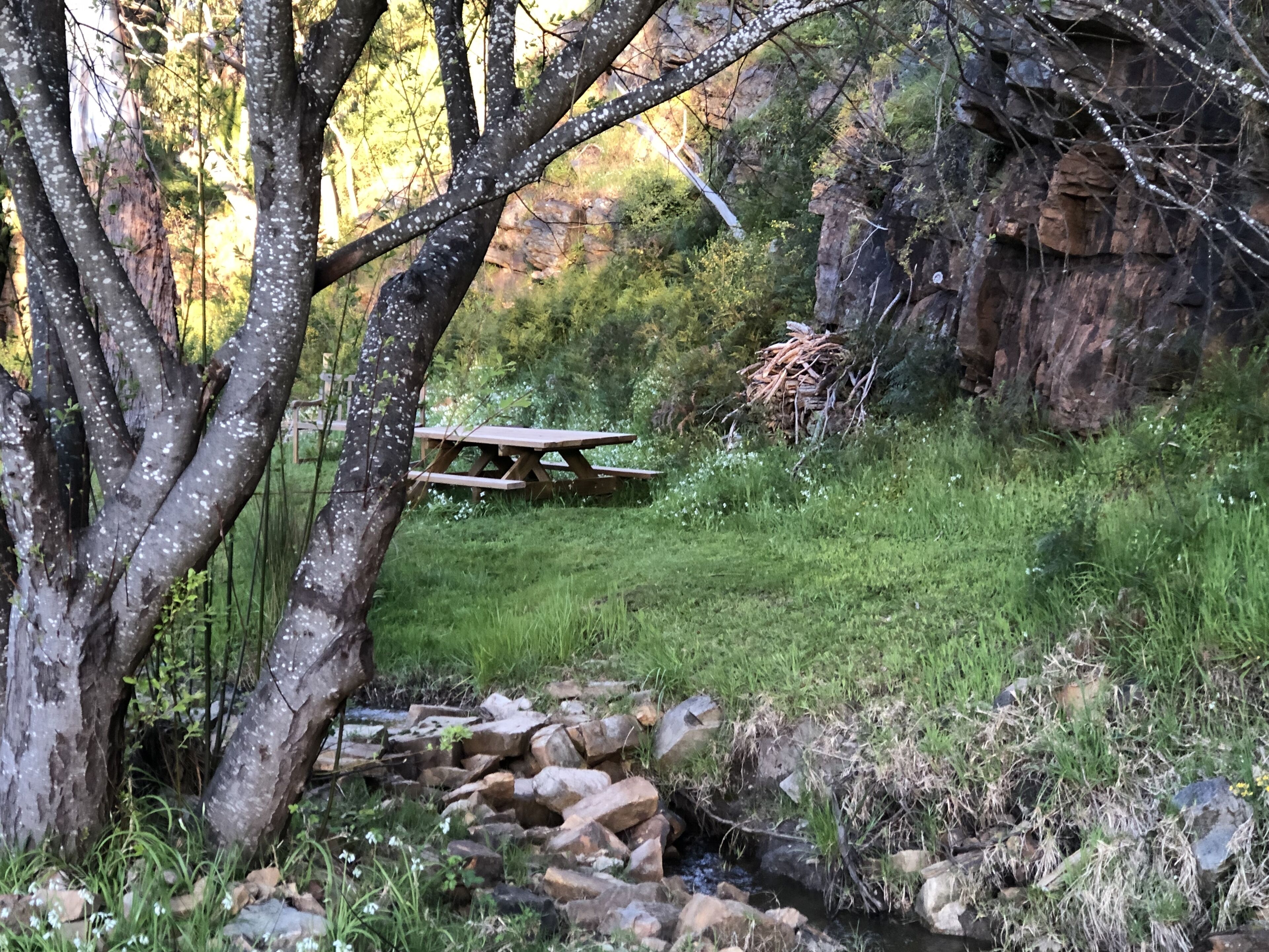 CloudsNest - secluded hills property — image 22