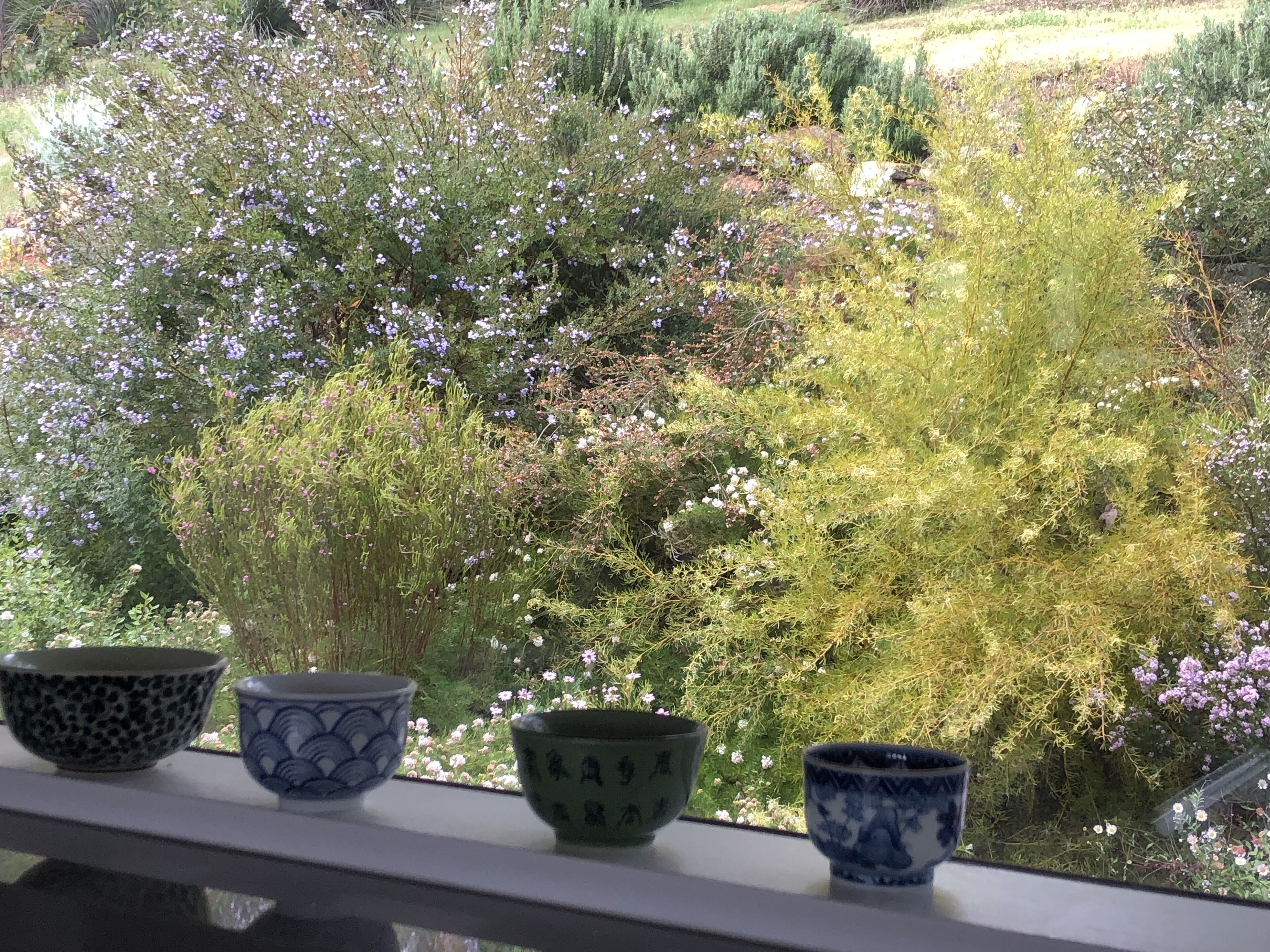 CloudsNest - secluded hills property — image 24