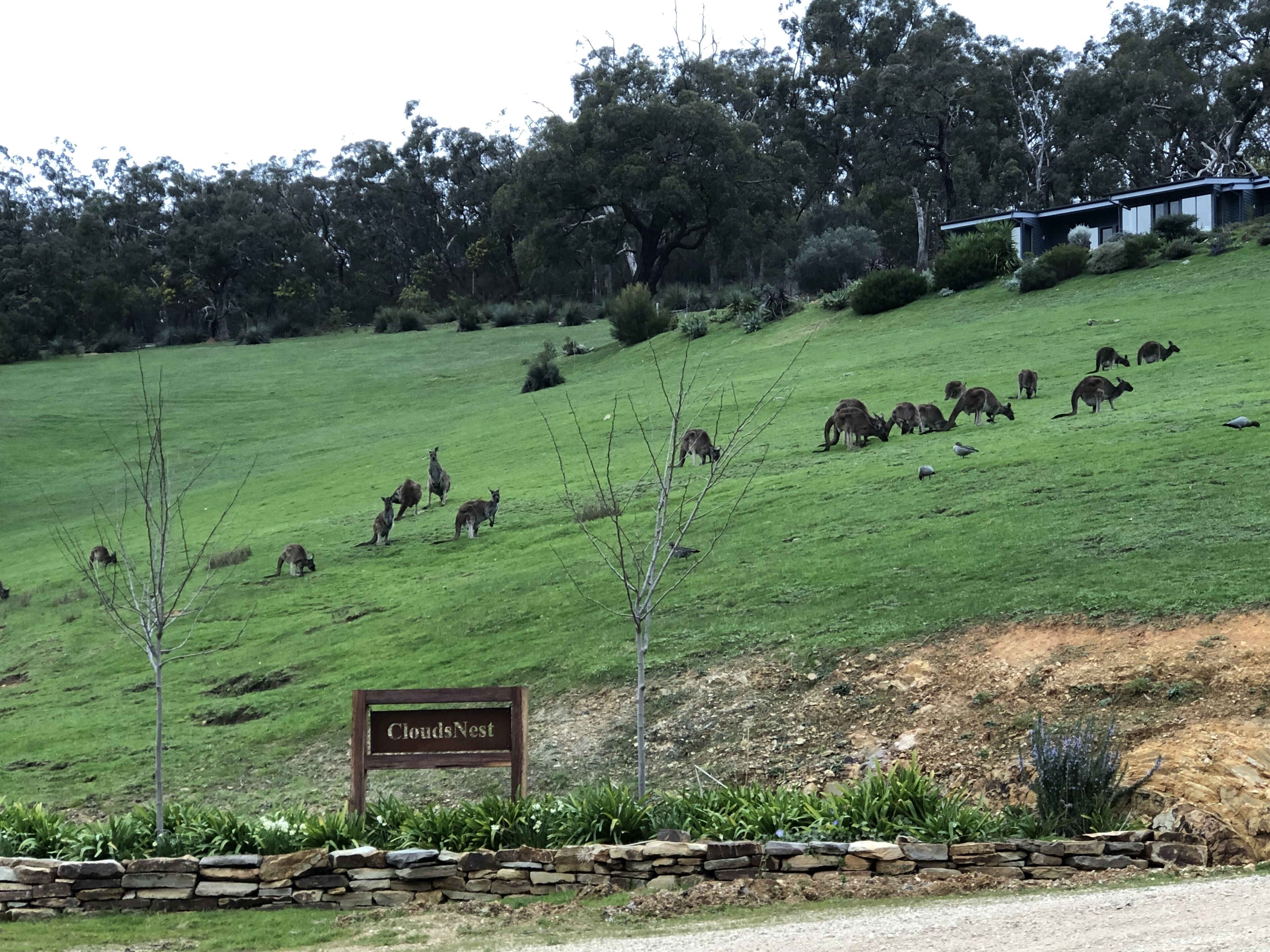 CloudsNest - secluded hills property — image 20