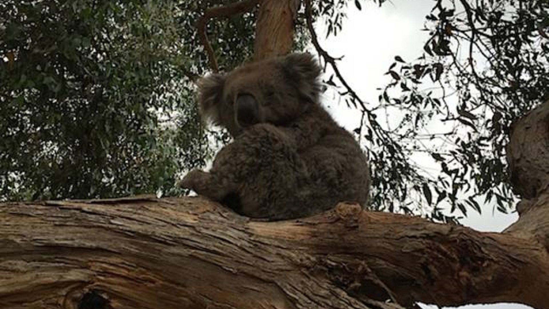 CloudsNest - secluded hills property — image 2