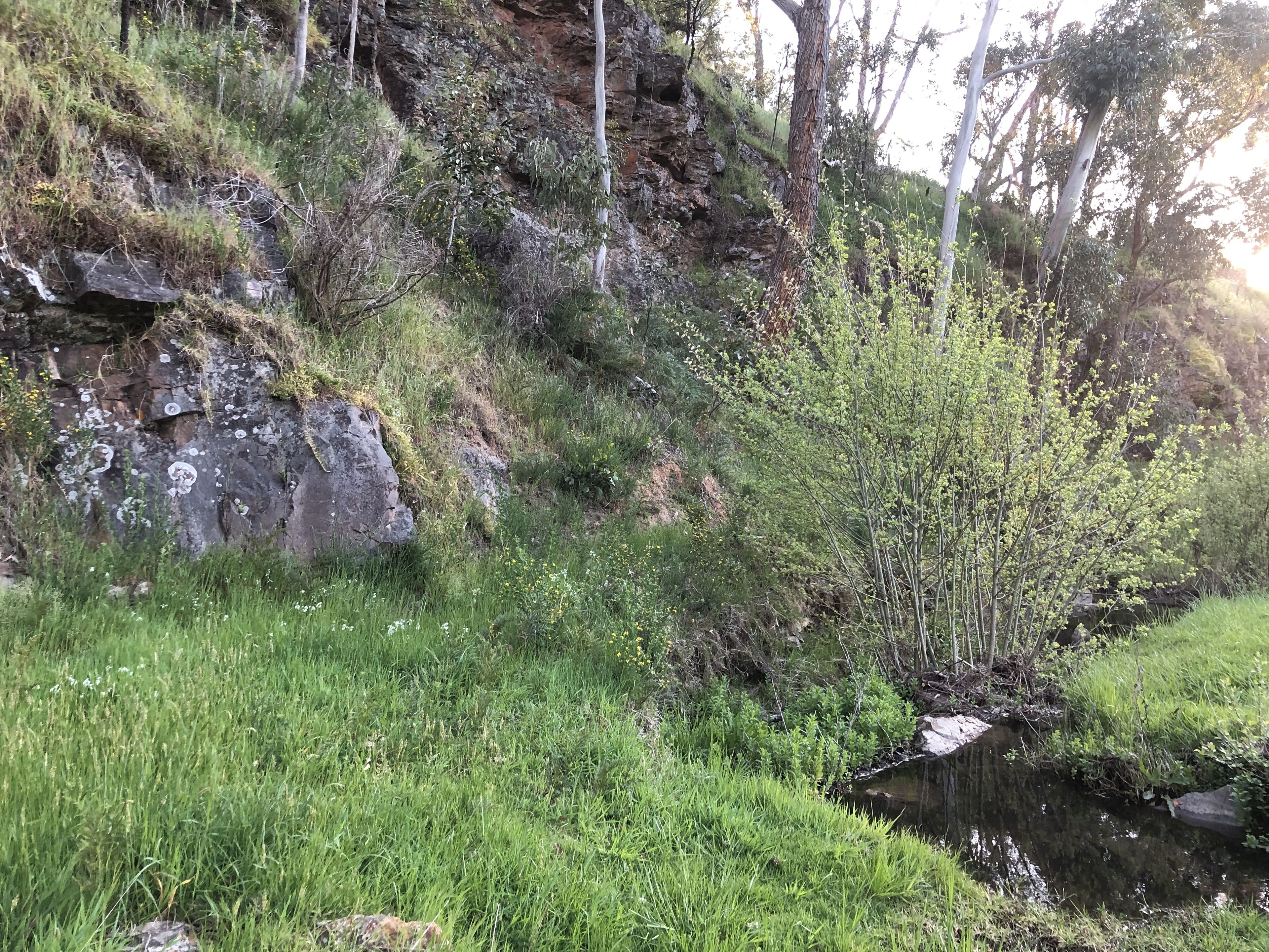 CloudsNest - secluded hills property — image 23