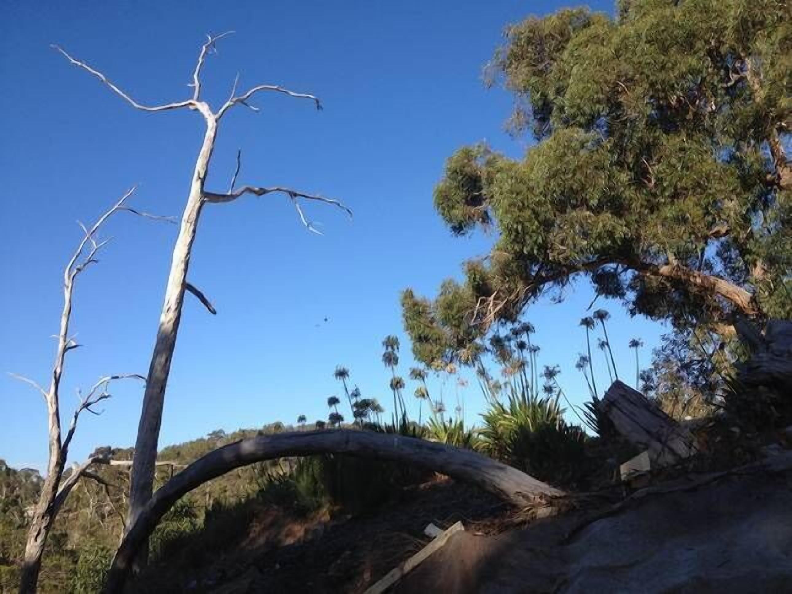 CloudsNest - secluded hills property — image 18