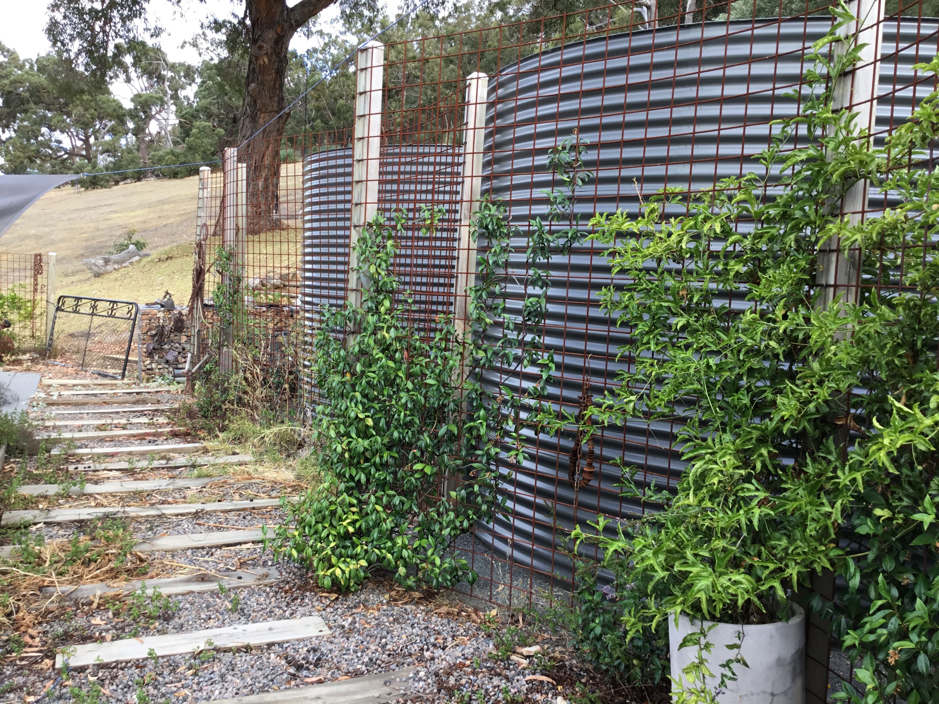 CloudsNest - secluded hills property — image 21