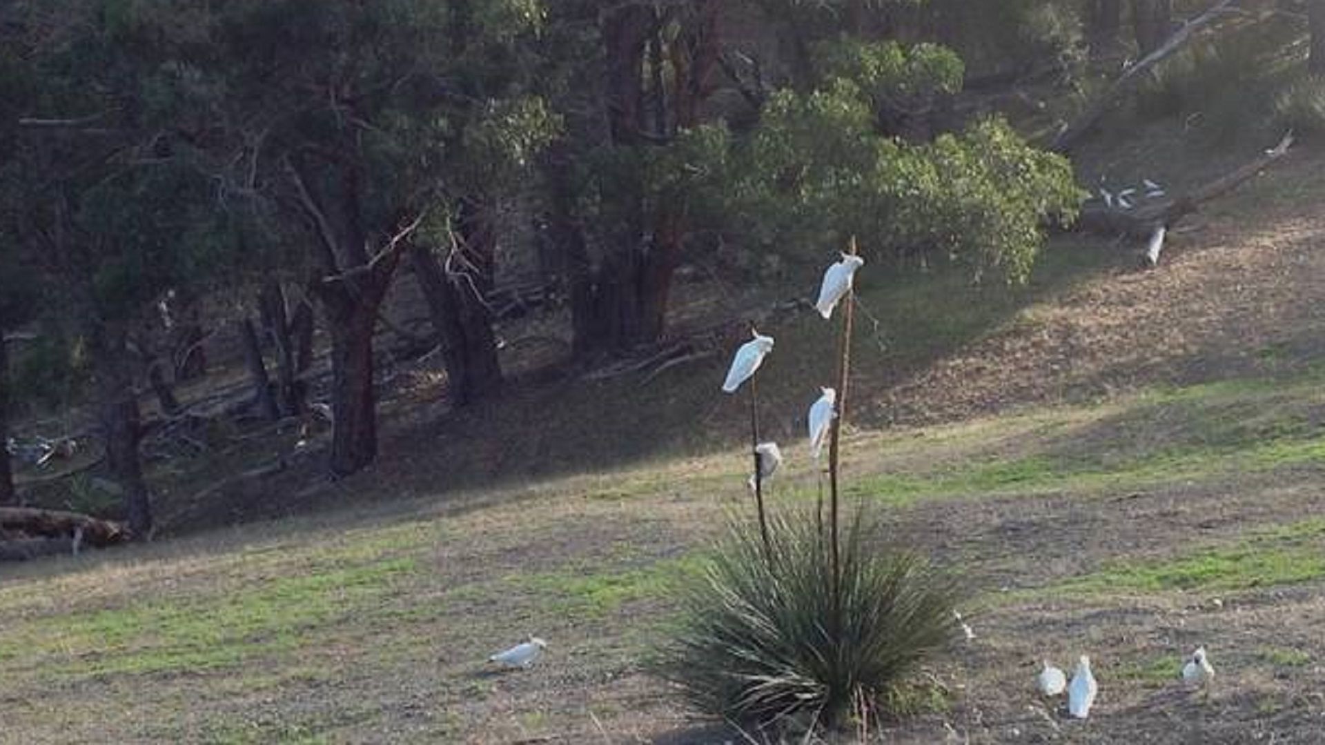 CloudsNest - secluded hills property — image 19