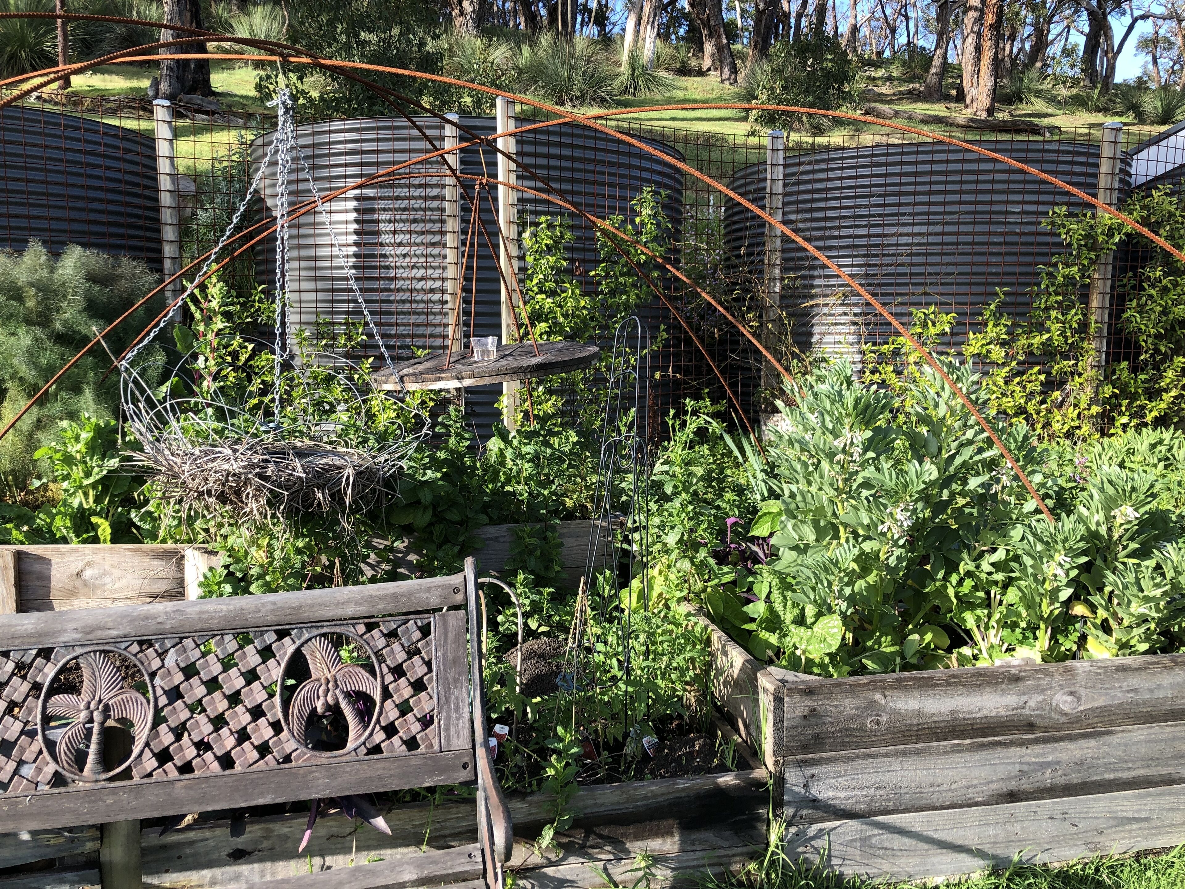 CloudsNest - secluded hills property — image 26