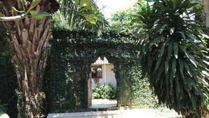 A pathway leading to a white building with a tiled roof, surrounded by lush greenery and a large tree. - Coconut Lodge (Mlonggo)