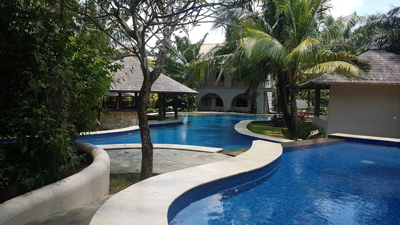 A swimming pool with a curved design, surrounded by palm trees and a building with a tiled roof.