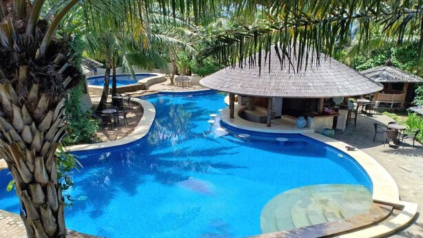 A swimming pool with a curved design, surrounded by palm trees and a thatched-roof structure. - Coconut Lodge (Mlonggo)