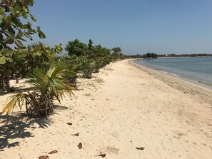 On the beach - Coconut Lodge (Mlonggo)