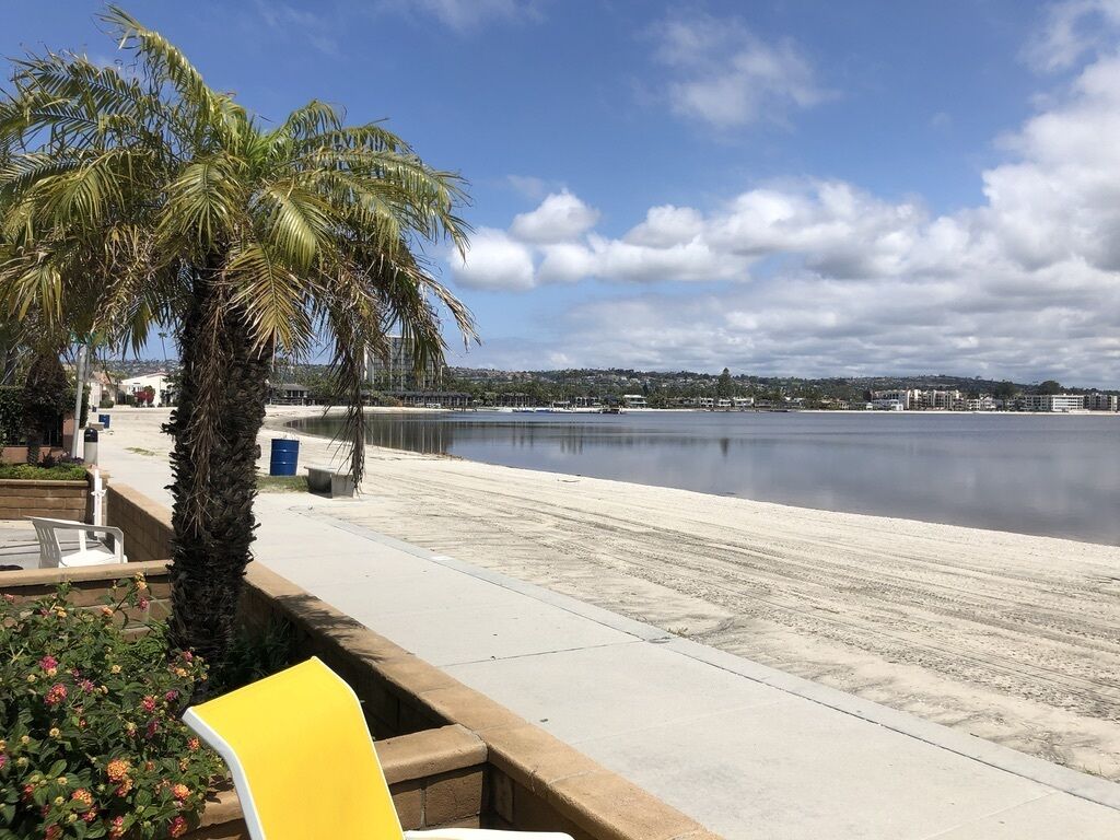 Una passeggiata lungomare con una palma, una banchina in cemento e una distesa d'acqua calma.