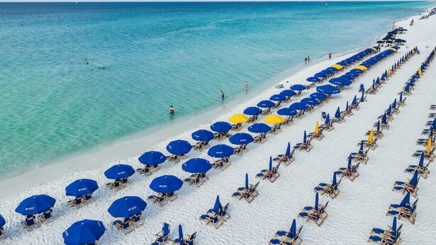 A beach with rows of blue and yellow beach umbrellas and lounge chairs, extending towards the ocean. - 1BR/2BA,Gorgeous 10th Floor Oceanfront,  Awesome View! (Destin)
