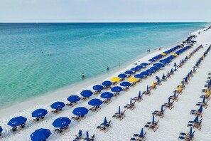 A beach with rows of blue and yellow beach umbrellas and lounge chairs, extending towards the ocean.