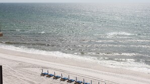 Une plage bordée de rangées de chaises longues bleues.