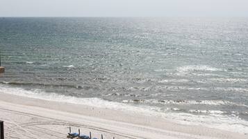 Plage, chaises longues