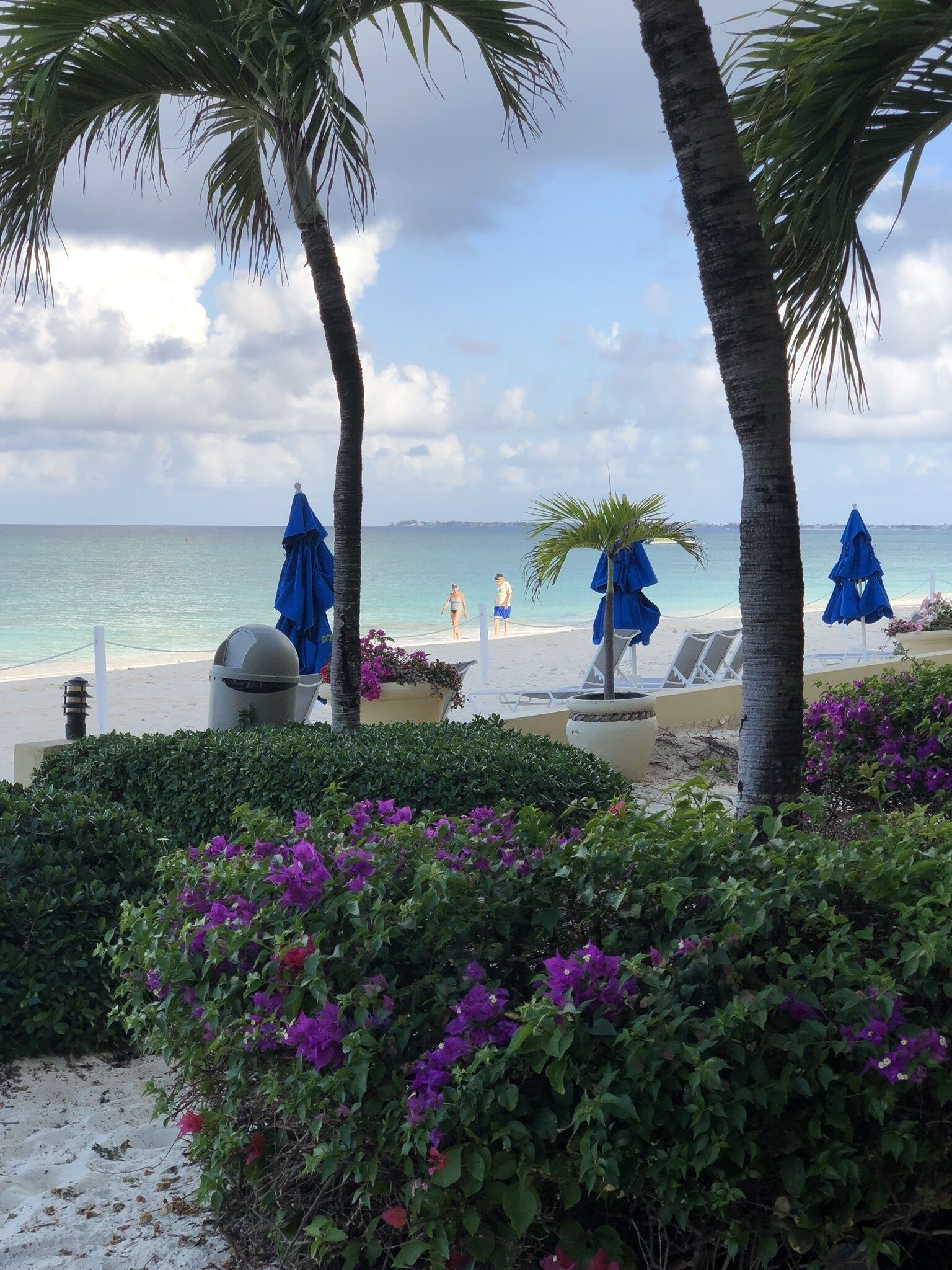 A la platja, gandules de platja i tovalloles de platja 