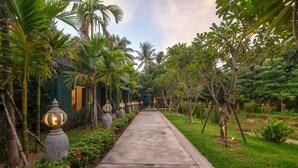 A pathway lined with palm trees and decorative lanterns, leading to a building with a green facade.