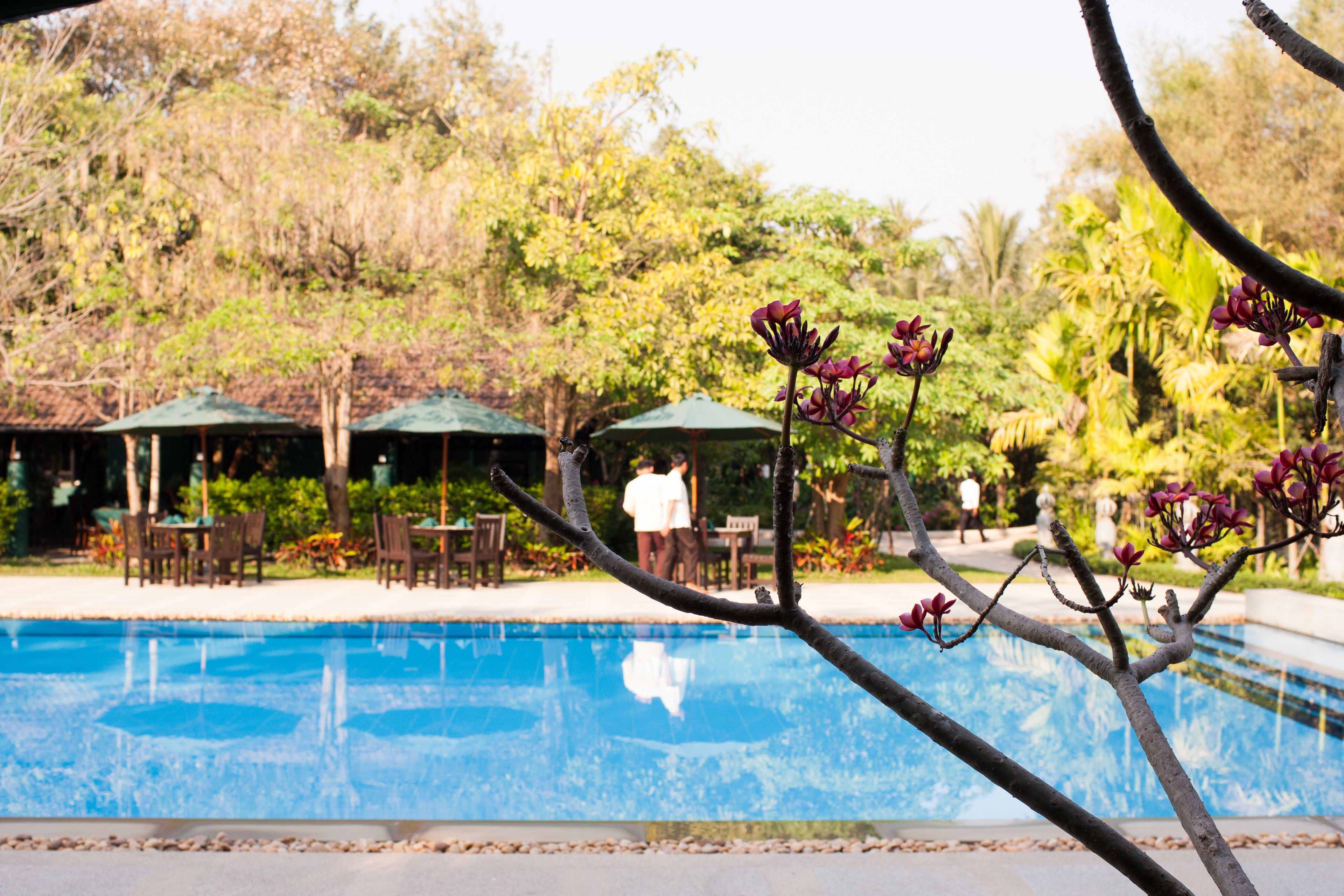 outdoor pool, pool umbrellas, pool loungers