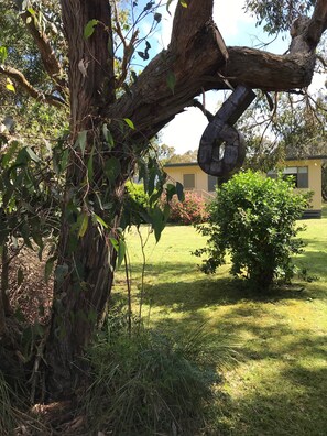 A tree with a large branch extending over a grassy area. - Barnacle - a beautiful holiday house in the stunning location of Walkerville (Walkerville)