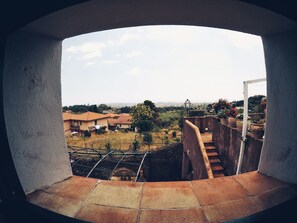 Studio Suite, Pool View | View from room