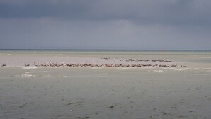 Una playa con una formación rocosa en el centro.
