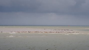 In Strandnähe