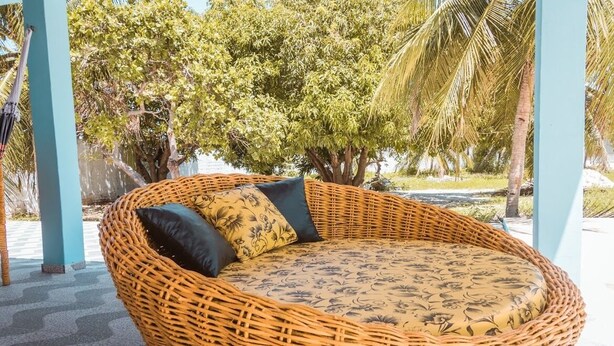 Un fauteuil de jardin en osier, agrémenté de coussins à motifs floraux, placé sous une structure bleue, offrant une vue sur des arbres tropicaux.