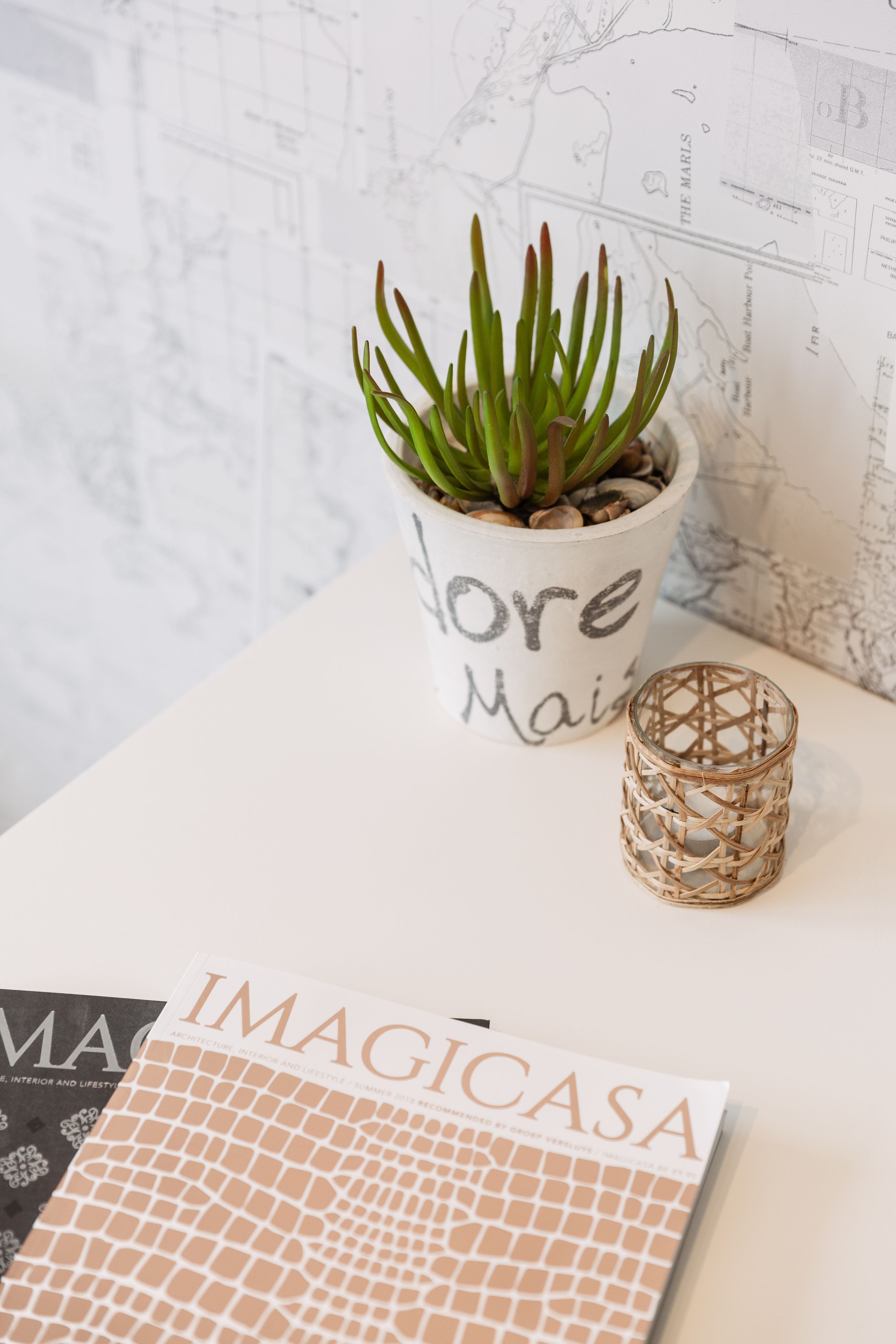 A potted succulent, a woven candle holder, and a magazine titled 'IMAGICASA' on a white surface.