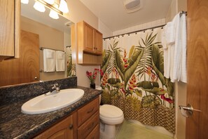 Combined shower/bathtub, hair dryer, towels, soap