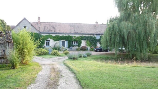 A gravel path leading to a house with ivy-covered walls and a weeping willow tree. - Le Plessis-Le Lierre - Loire Valley-Amboise, 18th Century Farmhouse, Pool (Amboise)