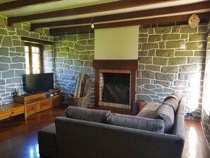TV, fireplace, video games, stereo
