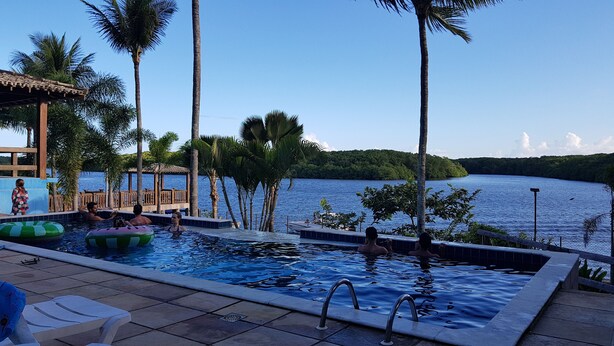 A swimming pool with a view of a lake, surrounded by palm trees and a wooden deck.