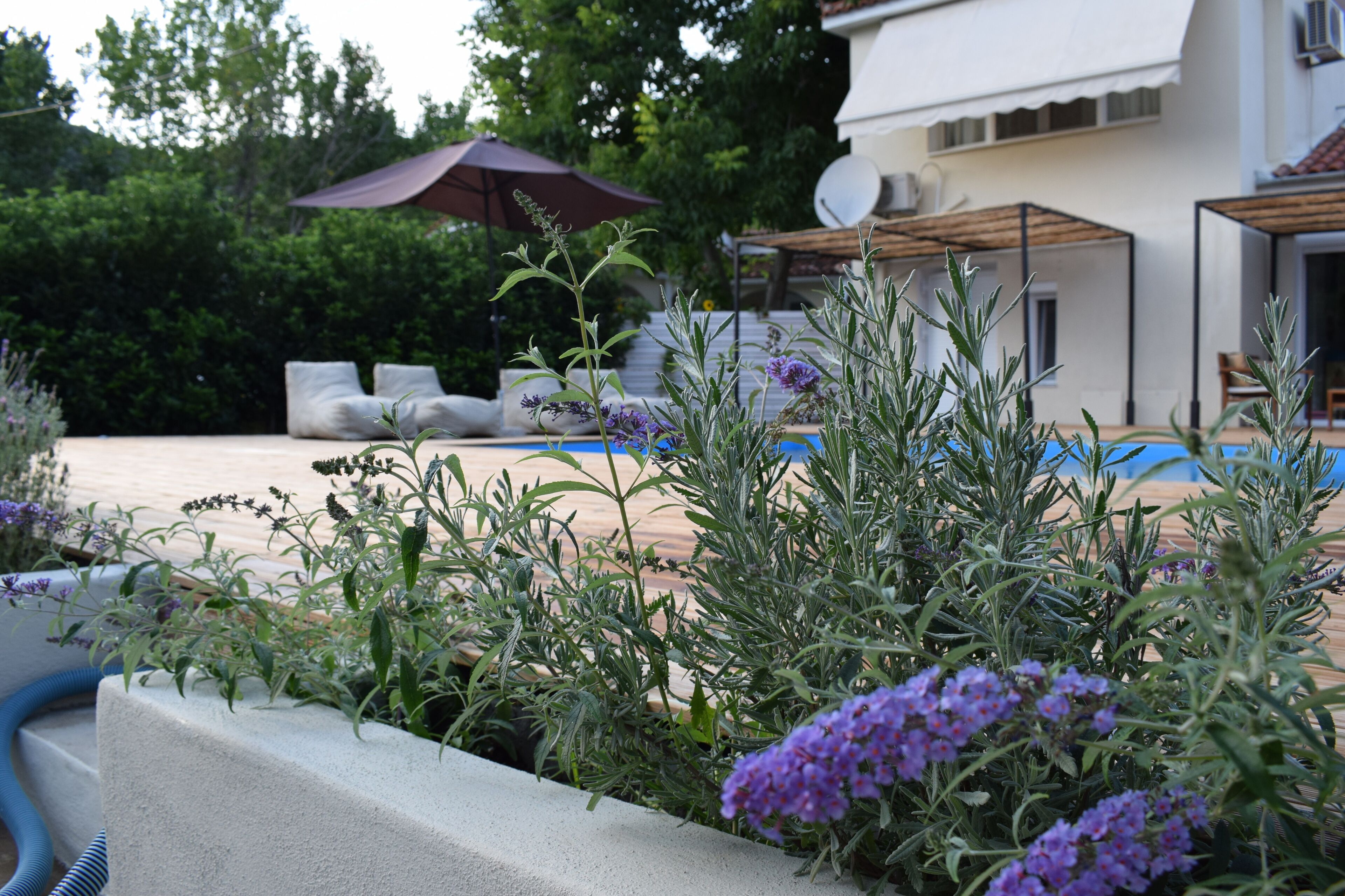 Serenity Luxury Villa, a hidden gem.