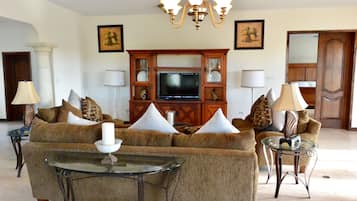 TV, DVD player, books, stereo