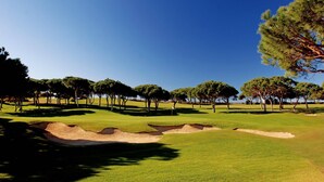 Un parcours de golf avec des bunkers de sable, des arbres et un ciel bleu dégagé.