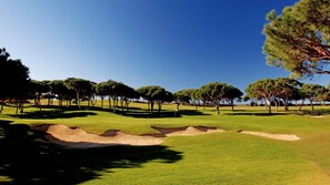 Um campo de golfe com bunkers de areia, árvores e um céu azul límpido.