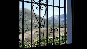 A window with metal bars and a view of a mountainous landscape.