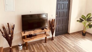 Een kamer met een houten vloer, een flatscreen televisie op een houten standaard, een donkere deur en twee sierplanten.