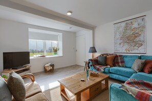 Smart TV, chimenea, videojuegos y Netflix 